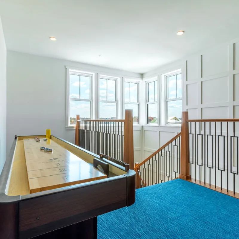 Shuffleboard Shuffleboard