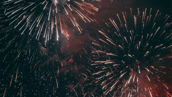Fireworks in the Night Sky
